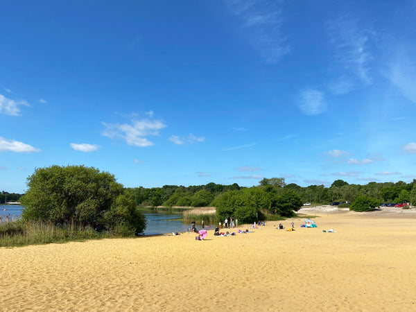 SUNNY SURREY BEACH