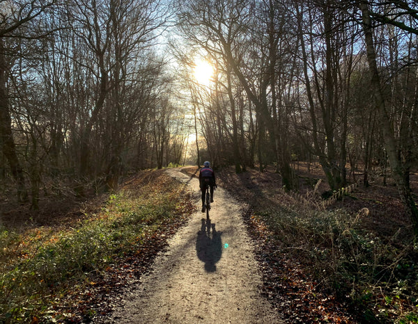 A group of cyclist Riding through Richmond park 